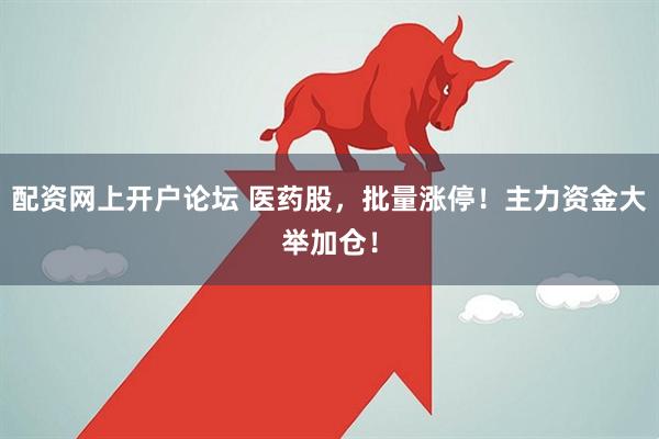 配资网上开户论坛 医药股，批量涨停！主力资金大举加仓！